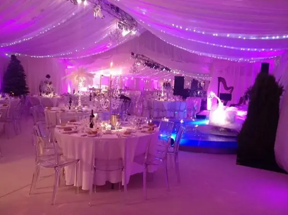 Party Tent with Lighting