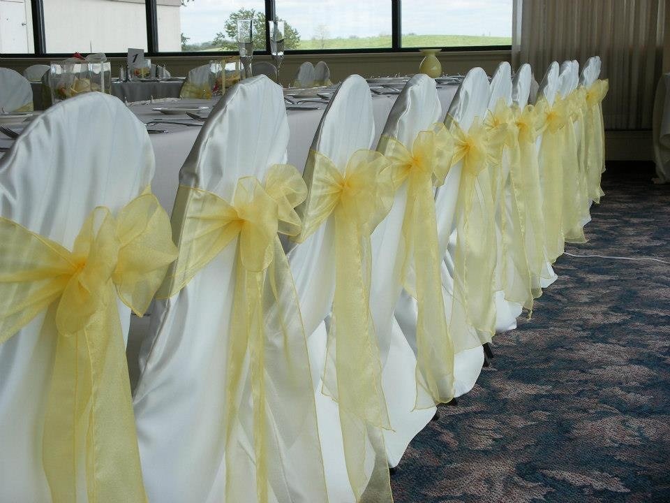 Banquet Chair with Chair Cover and Ribbon (all colours and style available)